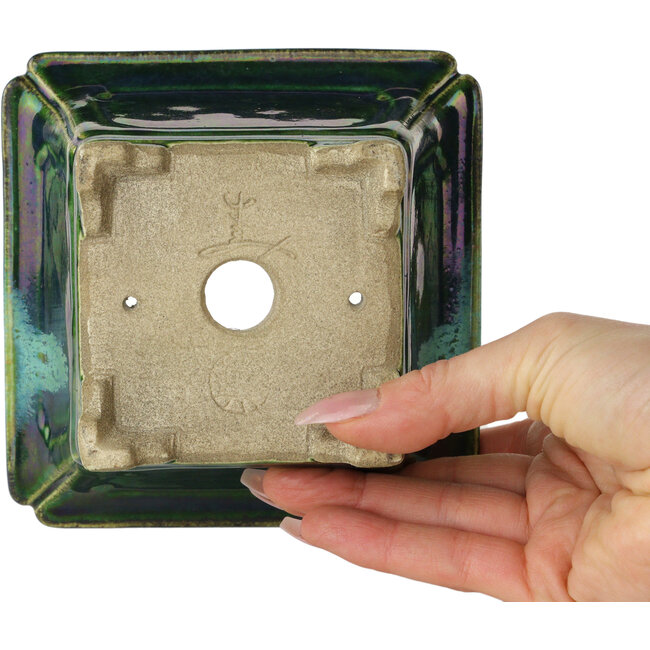 Pot à bonsaï carré vert avec accent bleu par Terahata Satomi Mazan - 126 x 126 x 72 mm
