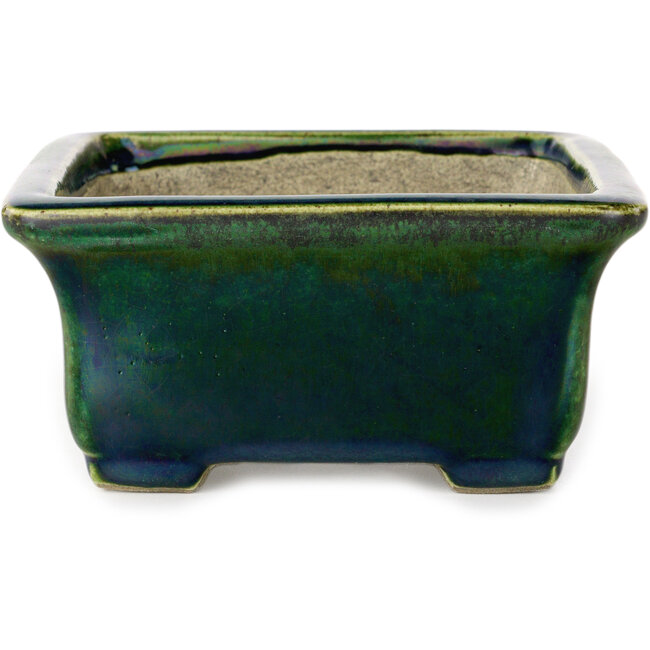 Vaso bonsai rettangolare verde con accenti blu di Terahata Satomi Mazan - 165 x 135 x 65 mm