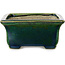 Vaso bonsai rettangolare verde con accenti blu di Terahata Satomi Mazan - 165 x 135 x 65 mm
