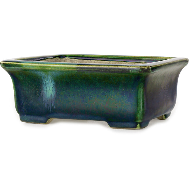 Maceta rectangular para bonsái verde con detalles en azul de Terahata Satomi Mazan - 165 x 135 x 65 mm