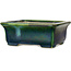 Pot à bonsaï rectangulaire vert avec accent bleu par Terahata Satomi Mazan - 165 x 135 x 65 mm