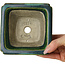 Square green with a blue accent bonsai pot by Terahata Satomi Mazan - 126 x 126 x 72 mm