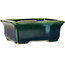 Pot à bonsaï rectangulaire vert avec accent bleu par Terahata Satomi Mazan - 165 x 135 x 65 mm