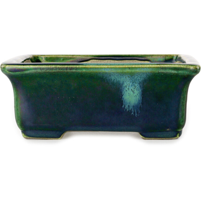 Rechteckige grüne Bonsaischale mit blauem Akzent von Terahata Satomi Mazan – 165 x 135 x 65 mm