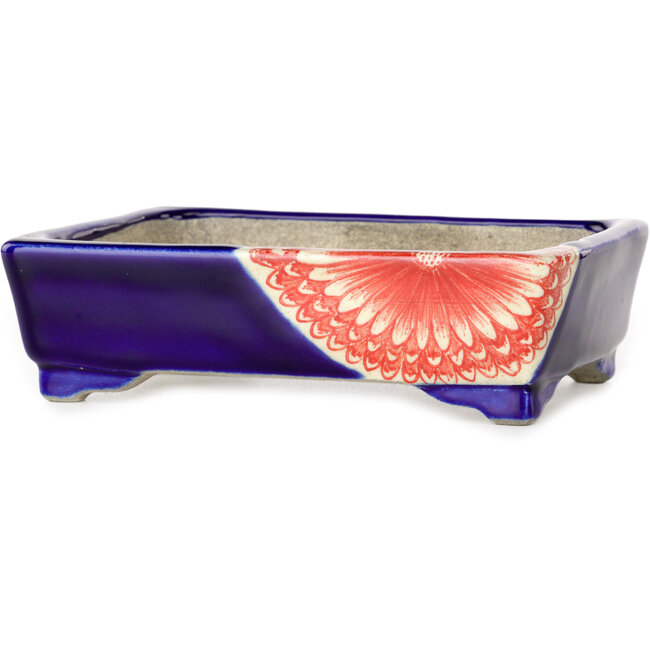 Rectangular red and blue bonsai pot by Terahata Satomi Mazan - 150 x 108 x 43 mm