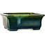 Vaso bonsai rettangolare verde con accenti blu di Terahata Satomi Mazan - 165 x 135 x 65 mm