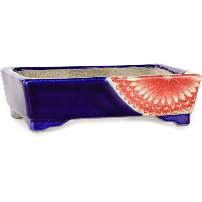 Rectangular red and blue bonsai pot by Terahata Satomi Mazan - 150 x 108 x 43 mm