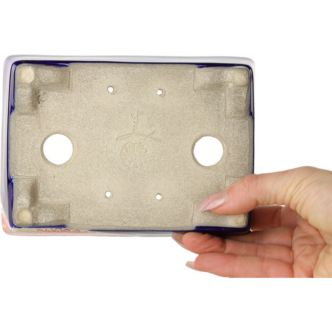 Pot à bonsaï rectangulaire rouge et bleu par Terahata Satomi Mazan - 150 x 108 x 43 mm