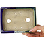 Maceta rectangular para bonsái azul y verde de Terahata Satomi Mazan - 150 x 108 x 43 mm