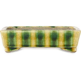  Satomi Mazan, Mazan Terahata Vaso bonsai rettangolare giallo e verde da 150 mm di Terahata Satomi Mazan, Tokoname, Giappone