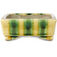 Pot à bonsaï rectangulaire jaune et vert par Terahata Satomi Mazan - 150 x 108 x 43 mm
