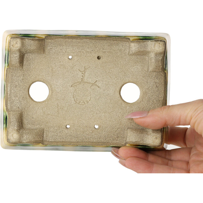 Maceta rectangular para bonsái amarilla y verde de Terahata Satomi Mazan - 150 x 108 x 43 mm