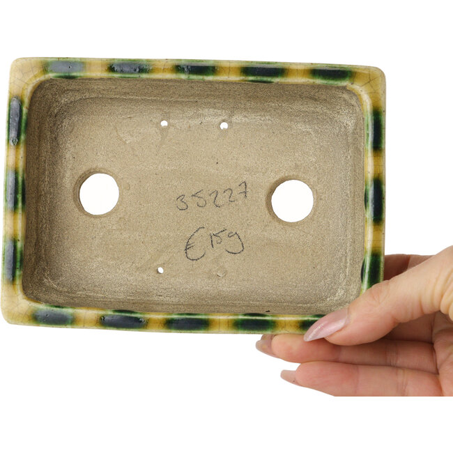 Maceta rectangular para bonsái amarilla y verde de Terahata Satomi Mazan - 150 x 108 x 43 mm