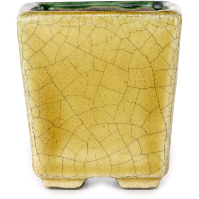 Pot à bonsaï carré vert et jaune par Terahata Satomi Mazan - 63 x 63 x 68 mm
