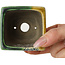 Square green and yellow bonsai pot by Terahata Satomi Mazan - 63 x 63 x 68 mm