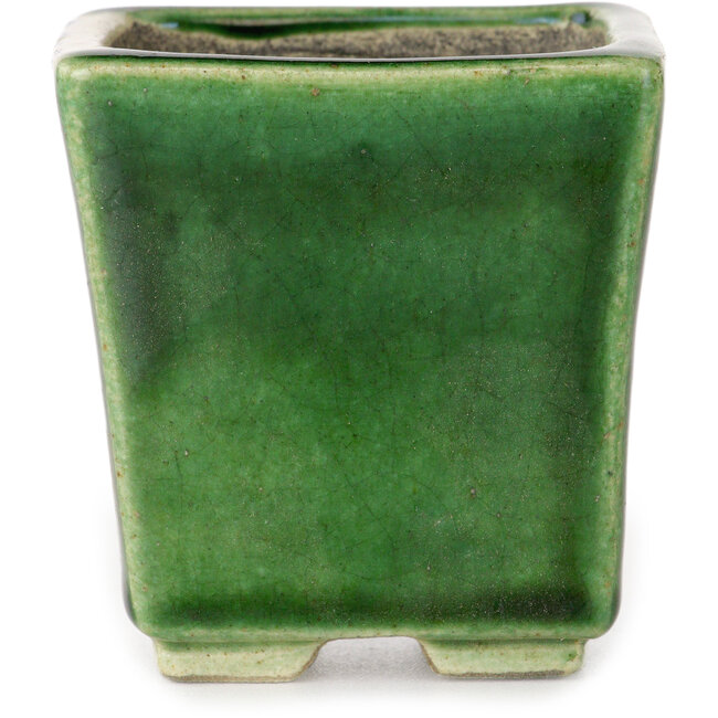 Maceta cuadrada para bonsái verde de Terahata Satomi Mazan - 63 x 63 x 68 mm