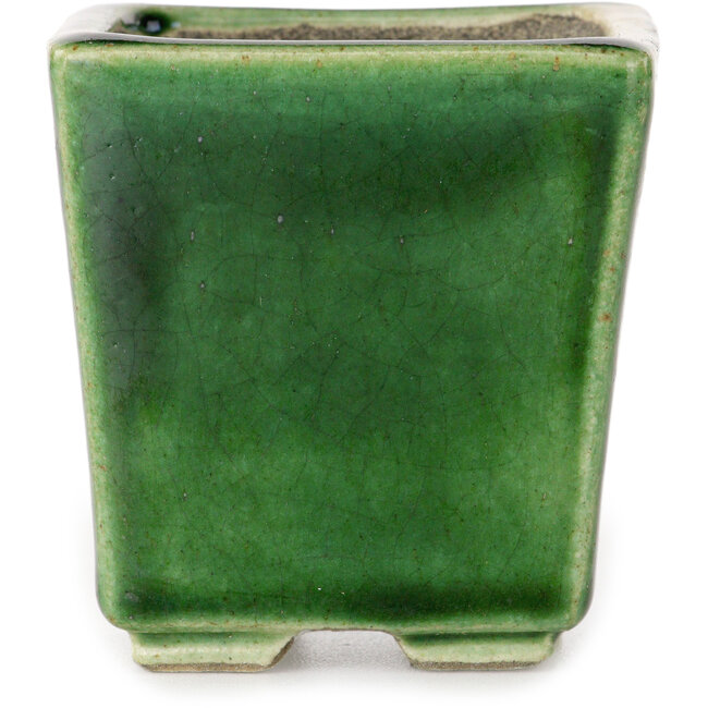 Maceta cuadrada para bonsái verde de Terahata Satomi Mazan - 63 x 63 x 68 mm