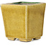 Square green and yellow bonsai pot by Terahata Satomi Mazan - 63 x 63 x 68 mm