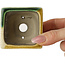 Square green and yellow bonsai pot by Terahata Satomi Mazan - 63 x 63 x 68 mm