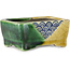 Rechthoekige groen en gele bonsaipot van Terahata Satomi Mazan - 85 x 62 x 38 mm