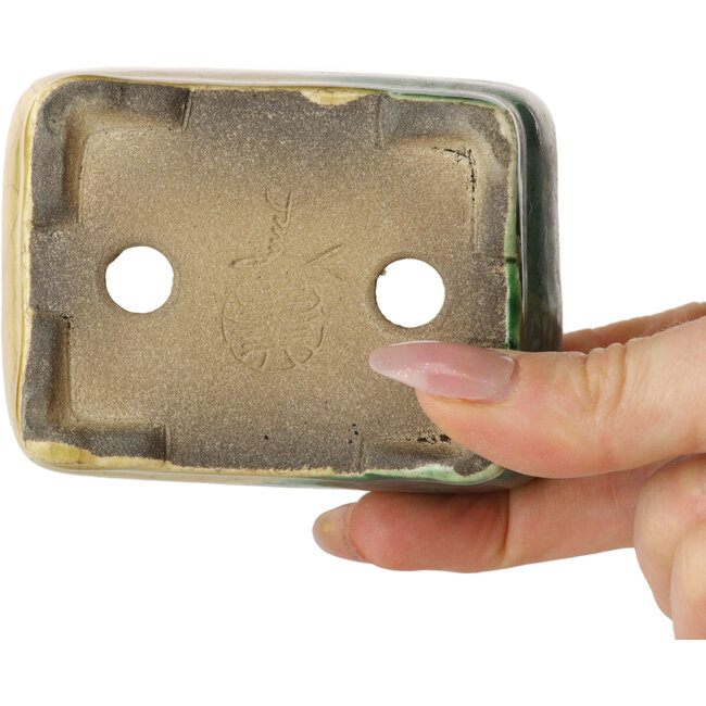 Rechthoekige groen en gele bonsaipot van Terahata Satomi Mazan - 85 x 62 x 38 mm