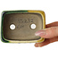 Maceta rectangular para bonsái verde y amarilla de Terahata Satomi Mazan - 85 x 62 x 38 mm