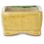 Rectangular green and yellow bonsai pot by Terahata Satomi Mazan - 85 x 62 x 38 mm