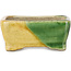 Maceta rectangular para bonsái verde y amarilla de Terahata Satomi Mazan - 85 x 62 x 38 mm