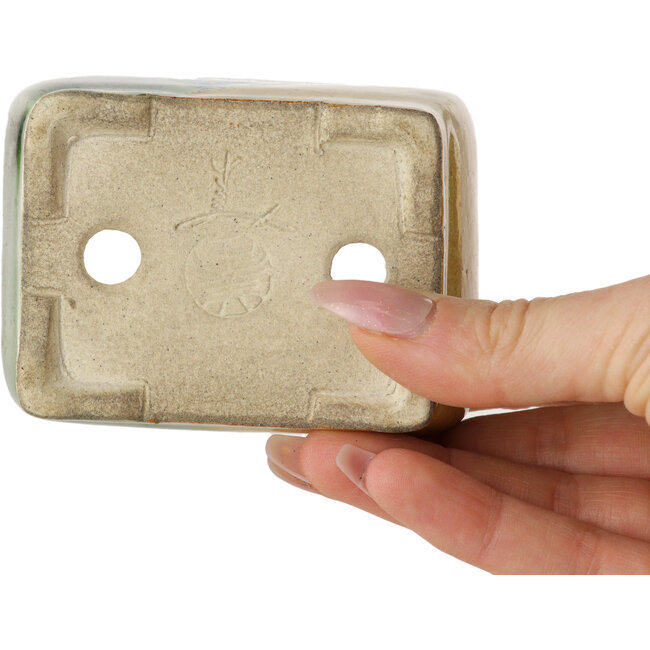 Maceta rectangular para bonsái verde y amarilla de Terahata Satomi Mazan - 85 x 62 x 38 mm