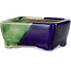 Rechthoekige groen en blauwe bonsaipot van Terahata Satomi Mazan - 85 x 62 x 38 mm