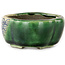 Mokko green bonsai pot by Terahata Satomi Mazan - 102 x 85 x 40 mm