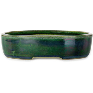  Satomi Mazan, Mazan Terahata Pot à bonsaï vert ovale de 222 mm par Terahata Satomi Mazan, Tokoname, Japon
