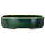 Vaso bonsai ovale verde di Terahata Satomi Mazan - 222 x 175 x 52 mm