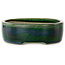 Ovale groene bonsaipot van Terahata Satomi Mazan - 222 x 175 x 52 mm