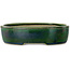 Pot à bonsaï ovale vert par Terahata Satomi Mazan - 222 x 175 x 52 mm