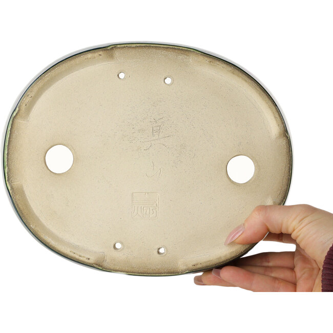 Maceta ovalada para bonsái verde de Terahata Satomi Mazan - 222 x 175 x 52 mm