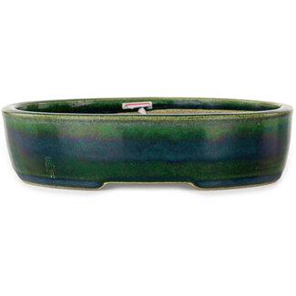  Satomi Mazan, Mazan Terahata 222 mm oval green bonsai pot by Terahata Satomi Mazan, Tokoname, Japan
