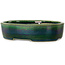 Maceta ovalada para bonsái verde de Terahata Satomi Mazan - 222 x 175 x 52 mm