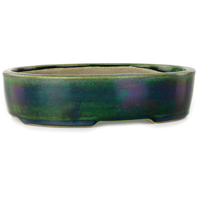 Pot à bonsaï ovale vert par Terahata Satomi Mazan - 222 x 175 x 52 mm