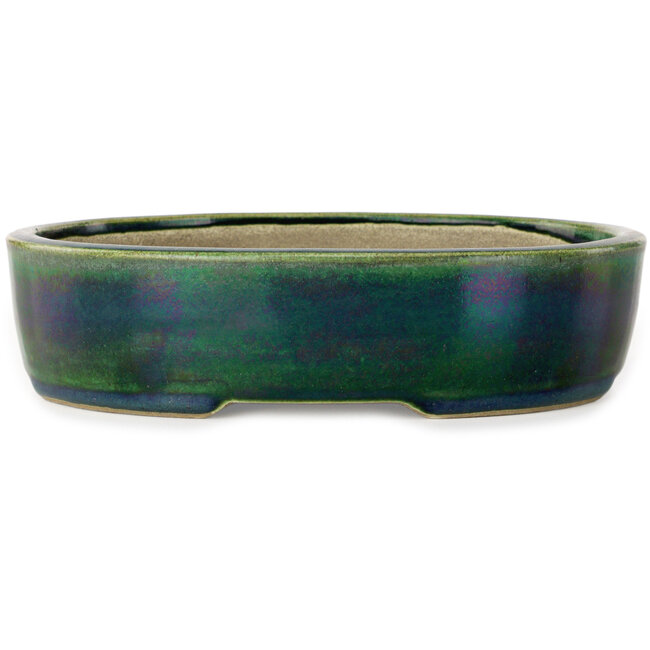 Maceta ovalada para bonsái verde de Terahata Satomi Mazan - 222 x 175 x 52 mm