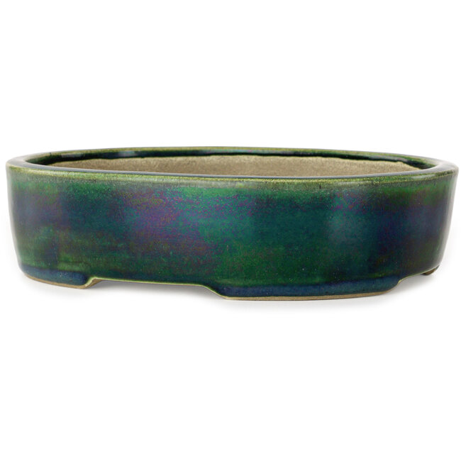 Vaso bonsai ovale verde di Terahata Satomi Mazan - 222 x 175 x 52 mm