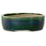 Ovale groene bonsaipot van Terahata Satomi Mazan - 222 x 175 x 52 mm