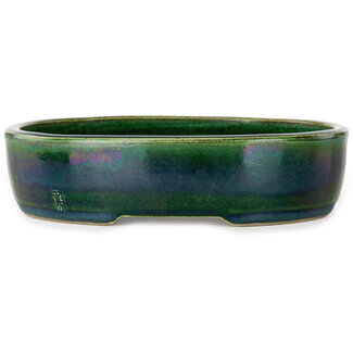  Satomi Mazan, Mazan Terahata Maceta para bonsái verde ovalada de 222 mm de Terahata Satomi Mazan, Tokoname, Japón