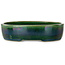 Maceta ovalada para bonsái verde de Terahata Satomi Mazan - 222 x 175 x 52 mm