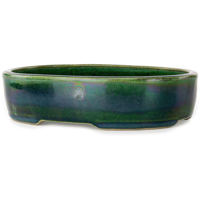 Pot à bonsaï ovale vert par Terahata Satomi Mazan - 222 x 175 x 52 mm