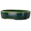 Vaso bonsai ovale verde di Terahata Satomi Mazan - 222 x 175 x 52 mm