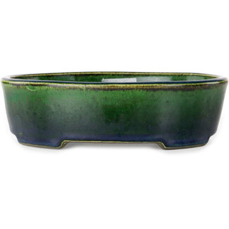  Satomi Mazan, Mazan Terahata Vaso bonsai verde ovale da 192 mm di Terahata Satomi Mazan, Tokoname, Giappone