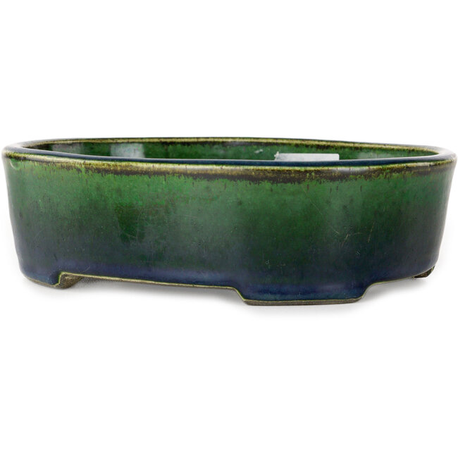 Pot à bonsaï ovale vert par Terahata Satomi Mazan - 192 x 160 x 55 mm