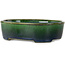 Pot à bonsaï ovale vert par Terahata Satomi Mazan - 192 x 160 x 55 mm