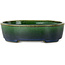 Maceta ovalada para bonsái verde de Terahata Satomi Mazan - 192 x 160 x 55 mm